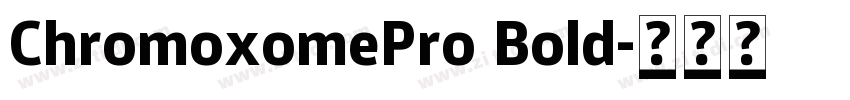 ChromoxomePro Bold字体转换